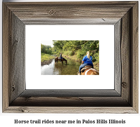 horse trail rides near me in Palos Hills, Illinois